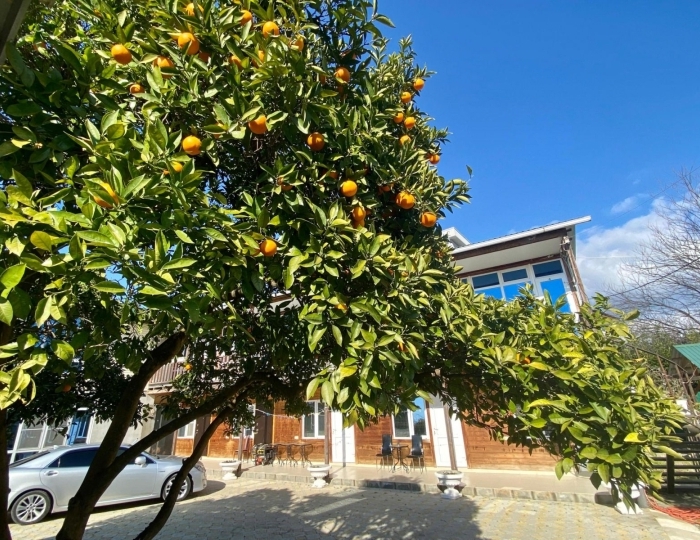 Отель «Фортуна» Алахадзы